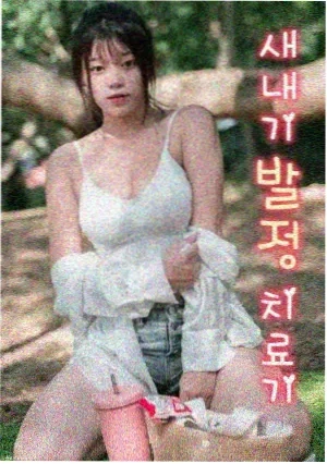 罗马假日新编 电视剧 2026